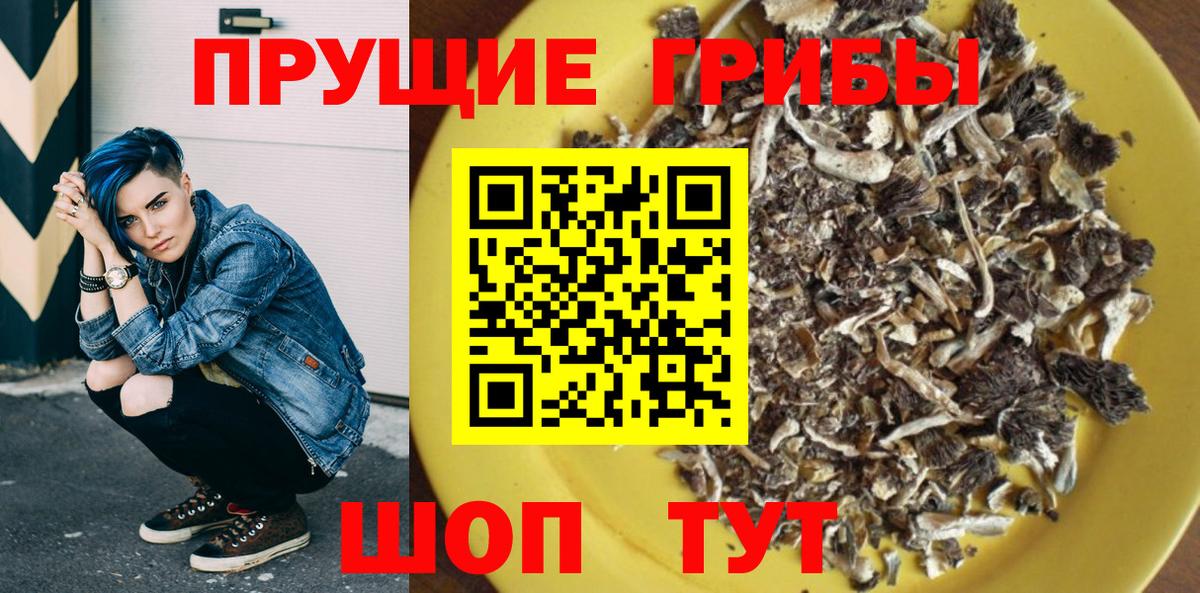 купить закладку  Вход с VPN  Ржев  Псилоцибиновые грибы GOLDEN TEACHER 