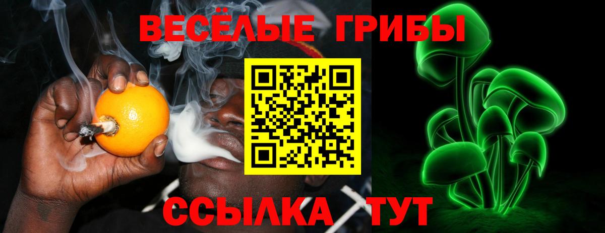 Галлюциногенные грибы MAGIC MUSHROOMS Ржев